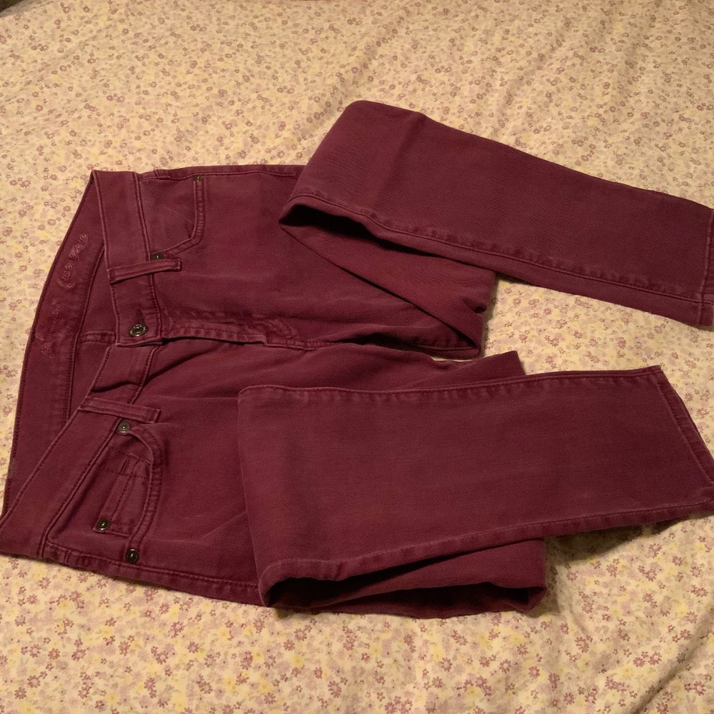 7 For All Mankind ‘Gwenevere’ Women’s Skinny-Ankle Maroon Jeans (28x30)